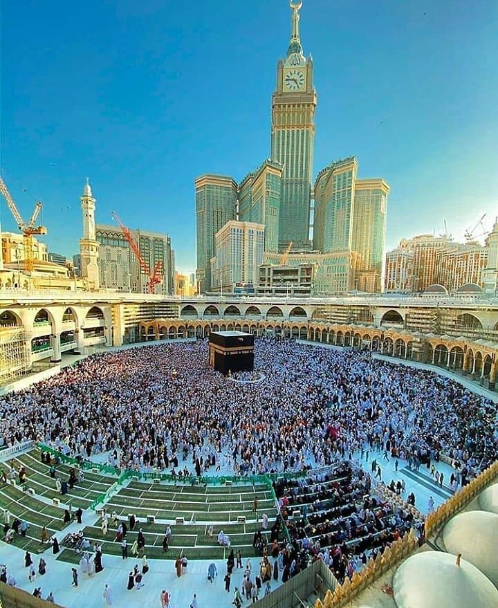 Fleet Transport Consulting